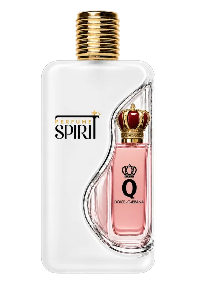 Q Dolce & Gabbana